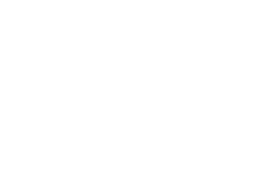 Logo SeelenWesenBewusstSein white