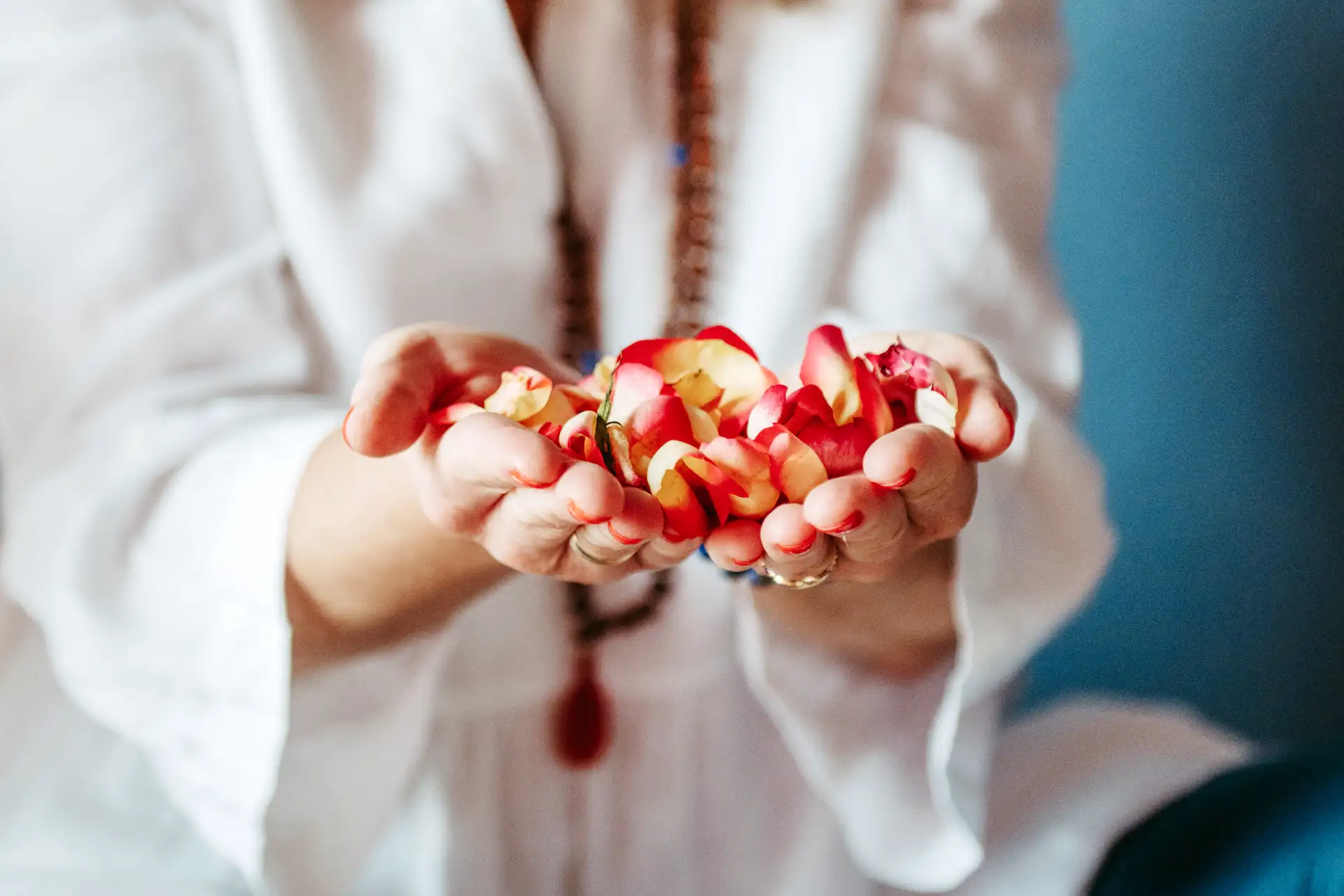 Ho`oponopono – Zu sehen sind zwei Hände, die achtsam mehrere frische Rosenblätter halten. Es wirkt, als würden diese Blätter als Geschenk überreicht werden.